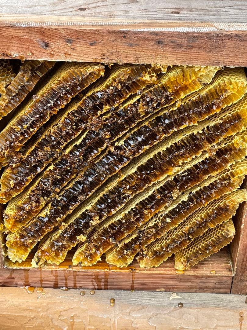 日本蜜蜂重箱式巣箱ハニーズハウス！五段スノコセット！送料無料！