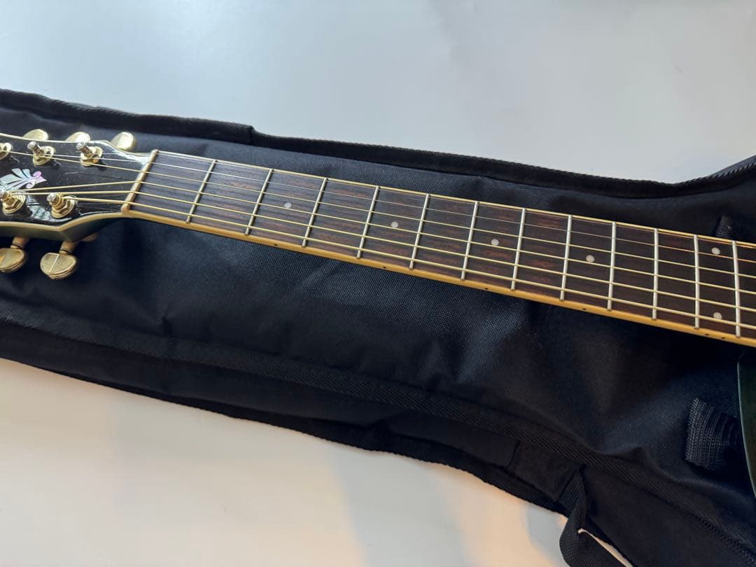 ibanez aeg24Ⅱ-TOS1204 エレアコ　アコースティックギター