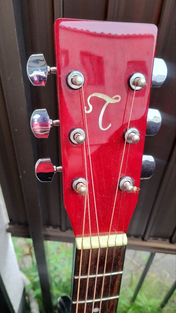 Takamine T-Series ニューヨーカー Wピックアップ付エレアコ