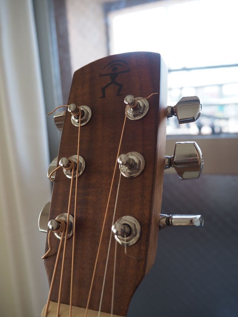 ギター aNueNue Bird Guitar Bird M2