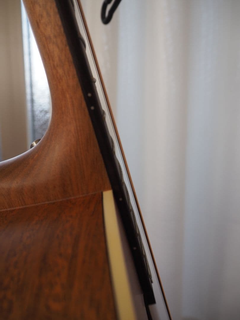 ギター aNueNue Bird Guitar Bird M2