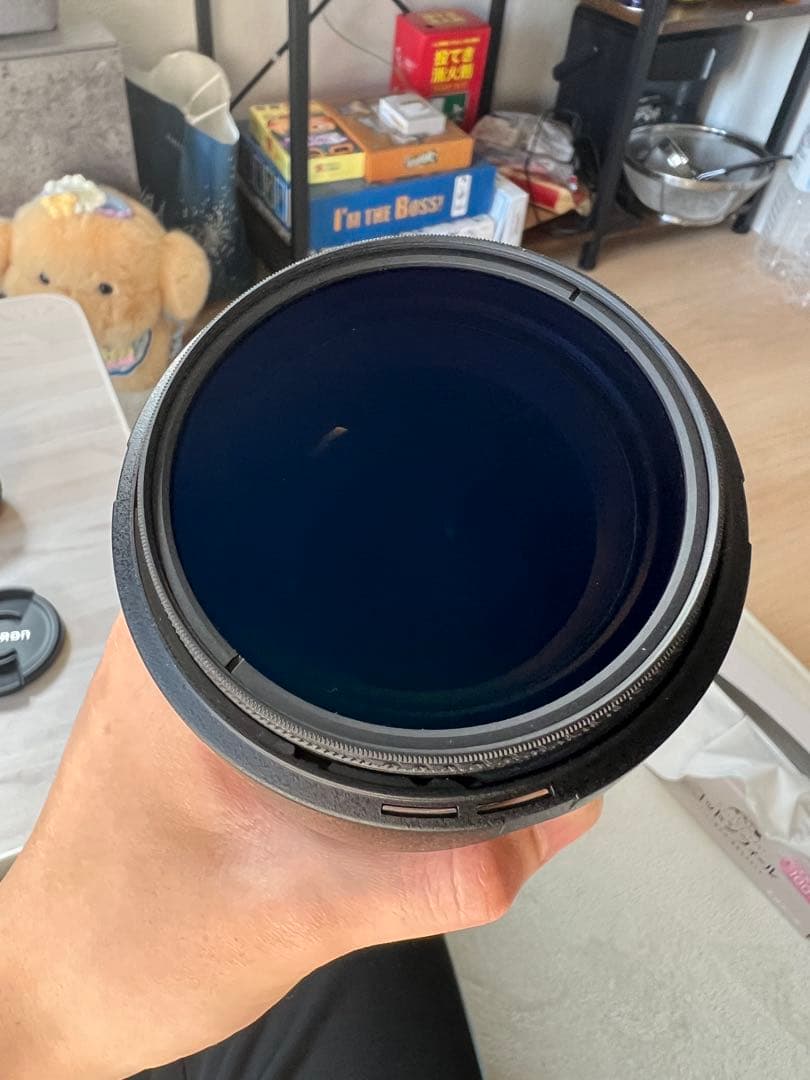 TAMRON SP 17-50mm F2.8 LD XR SP Diフィルター付