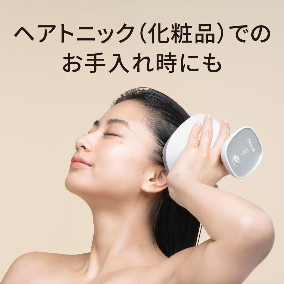 15343 未使用 パナソニック エステ EH-HE0G Panasonic