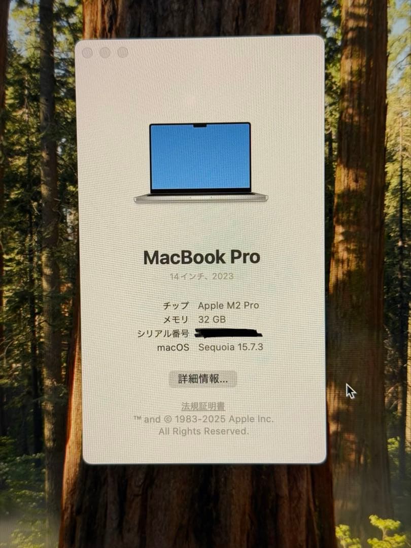 MacBook本体 MacBook Pro 14 M2 Pro 2023 32gb US