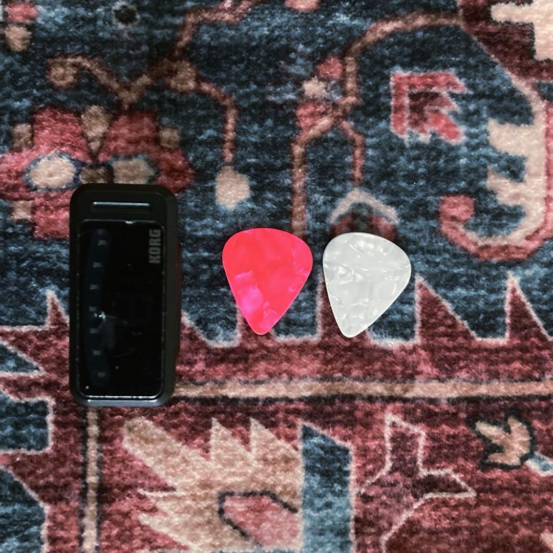 アコースティックギター RO G6【Recording King 調整済み】