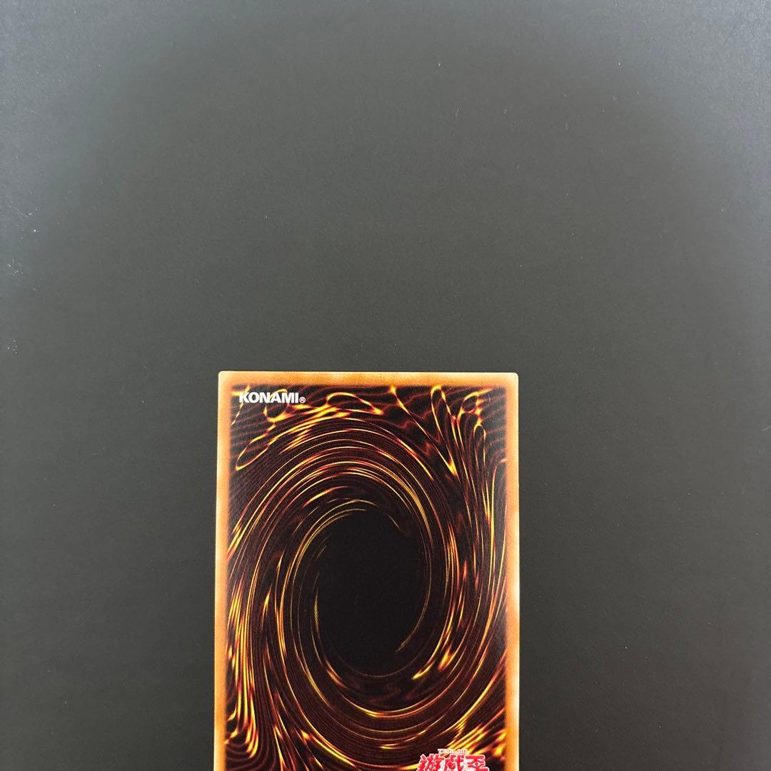 ブラックローズドラゴン ホロ