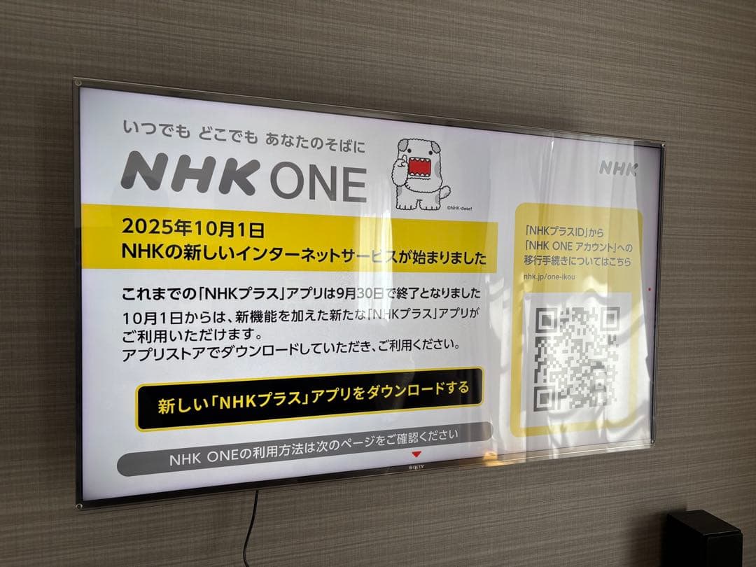 【価格交渉可】サンワダイレクト　液晶テレビ保護パネル　48•49型