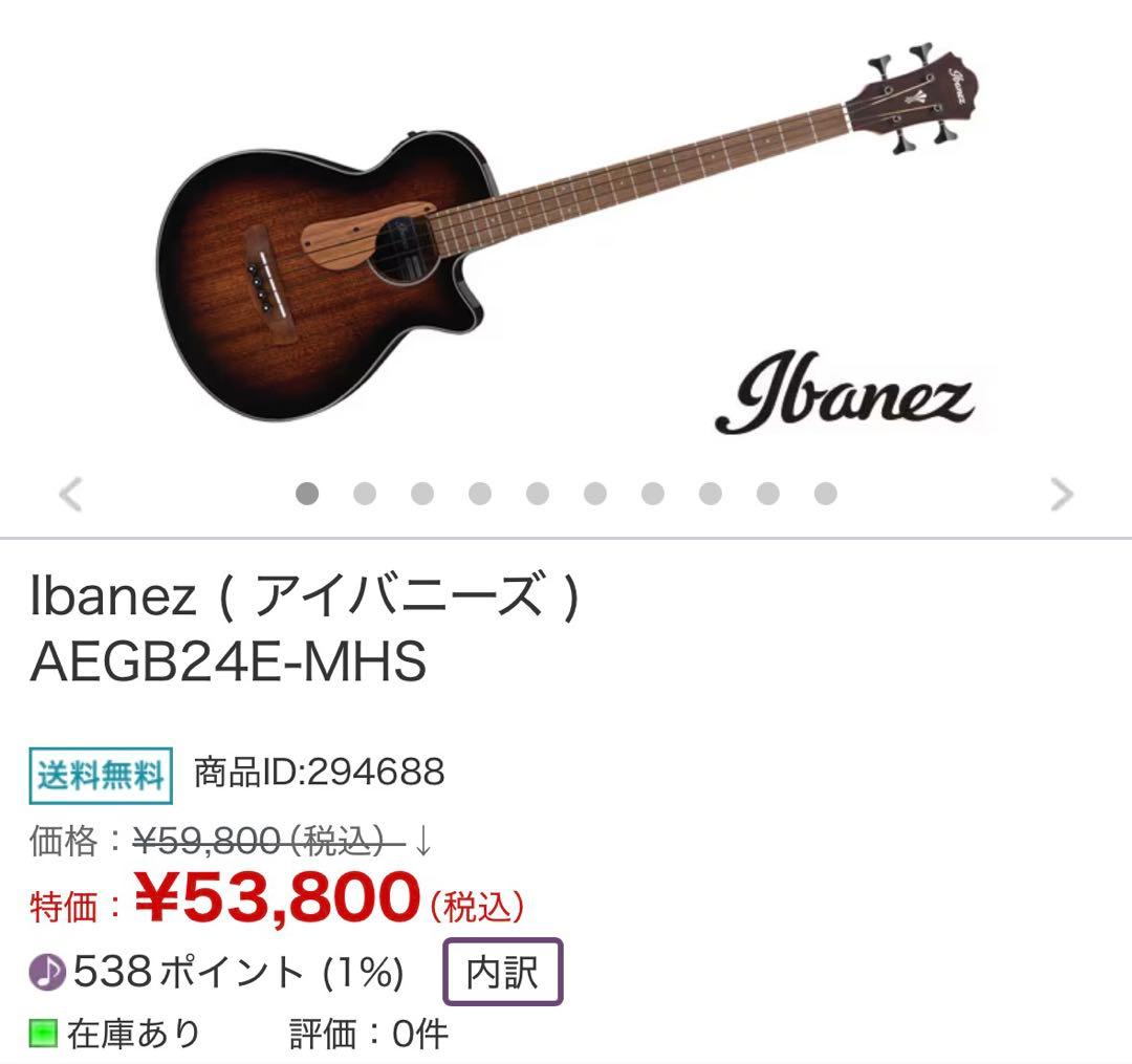 Ibanez AEGB24E-MHS (必ず商品の説明をご覧ください！)