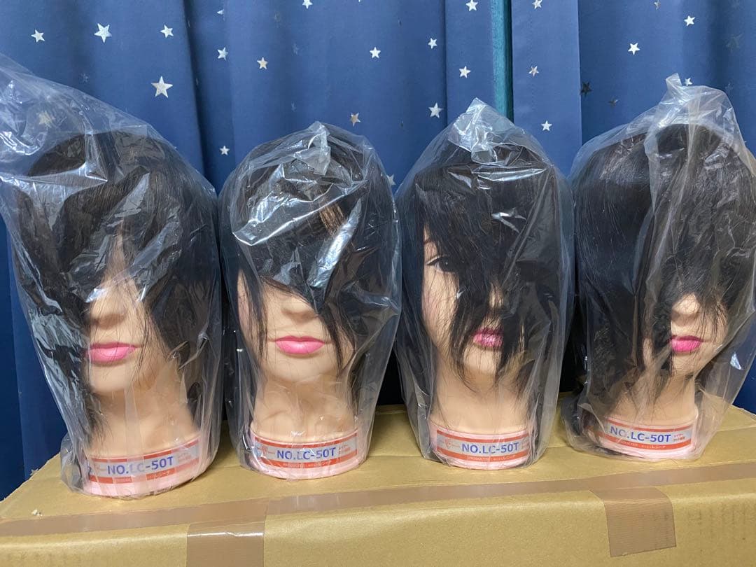 美容学校用 ウィッグレジーナ LC-50T 4個