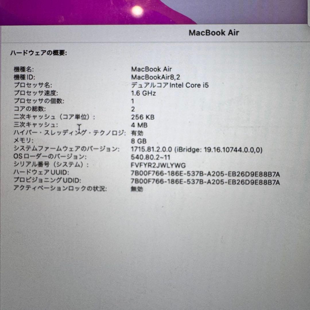 【美品】Apple MacBook Air 2018 13.3 inch