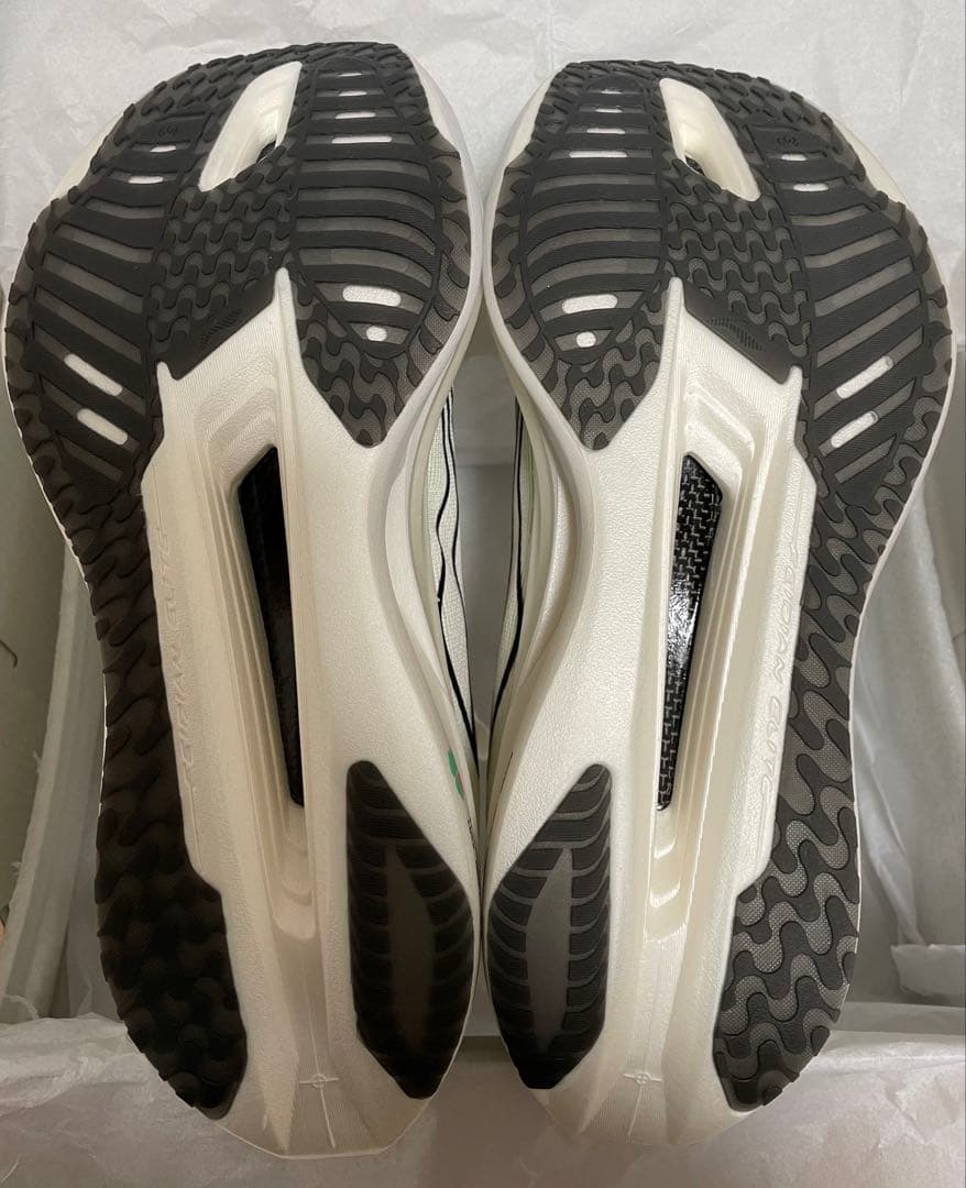 た*ん様 LI-NING FEIDIAN5 ELITE 26.5cm US8.5