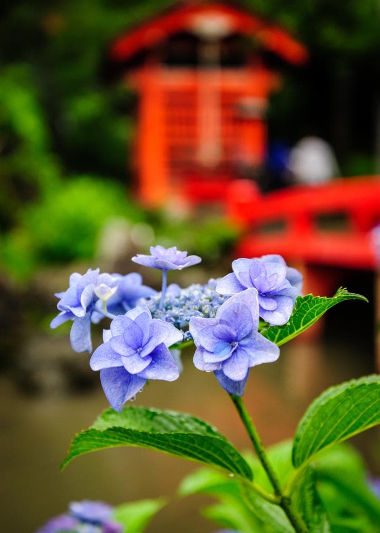 良好な状態 Nikon D700 – シャッター回数 9770回