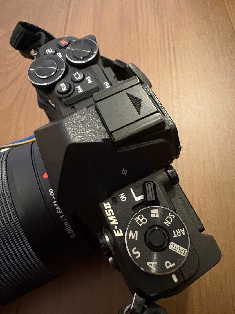 【中古】OLYMPUS E-M5 MarkII ＋望遠レンズ等オプション付き