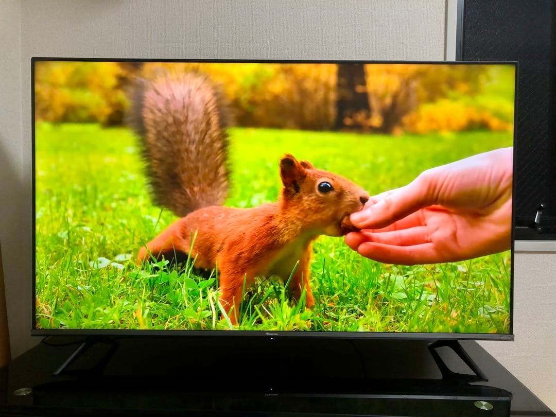 2021年製！50V型 4Kチューナー内蔵 液晶テレビ 50A65G ネット動画