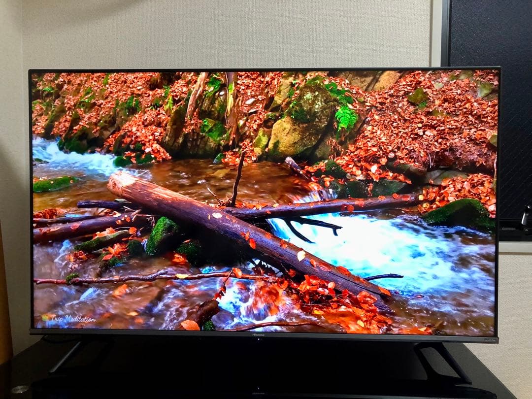 2021年製！50V型 4Kチューナー内蔵 液晶テレビ 50A65G ネット動画