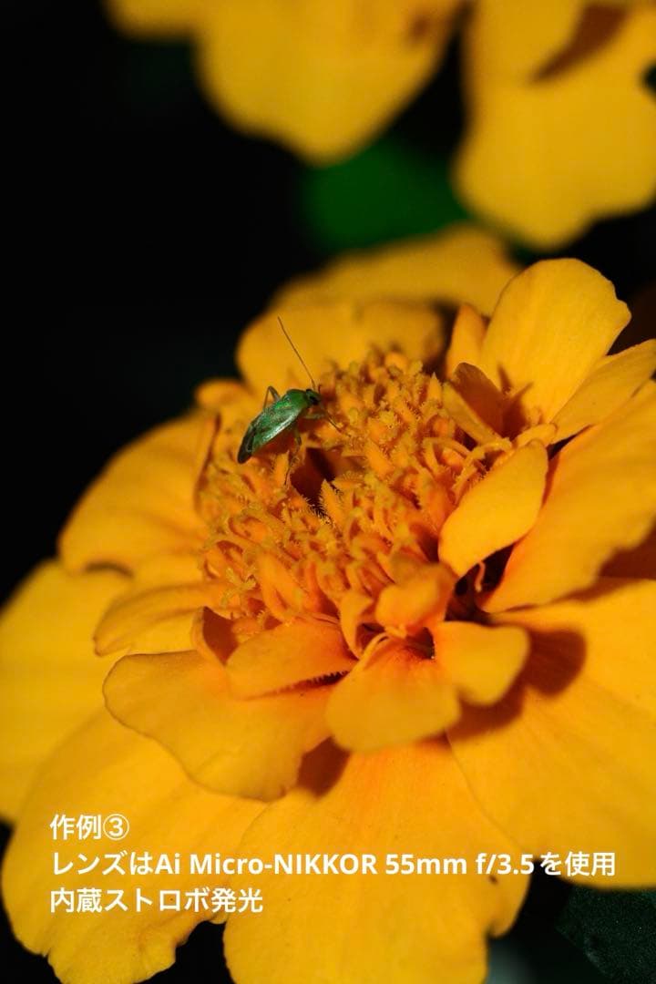 Nikon D7100 最終値下げ