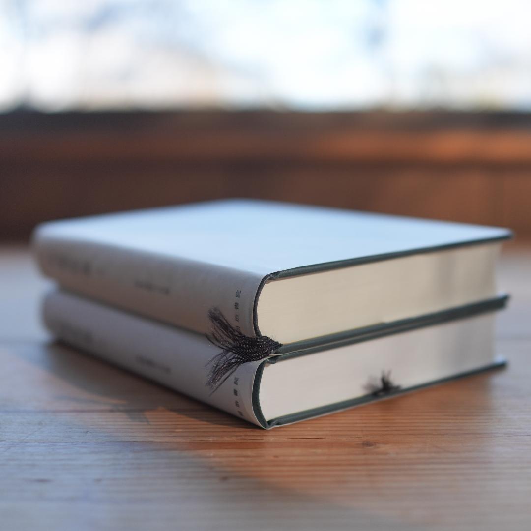 【定価1.9万】貞観政要・上下 新釈漢文大系 明治書院 折り・マーカ線引きあり