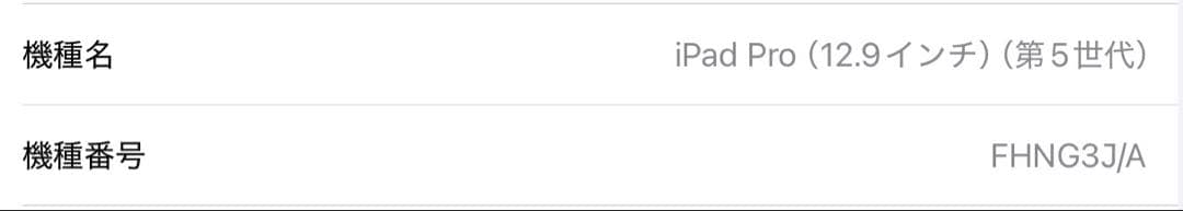 iPad Pro (12.9インチ) 第5世代 128GB
