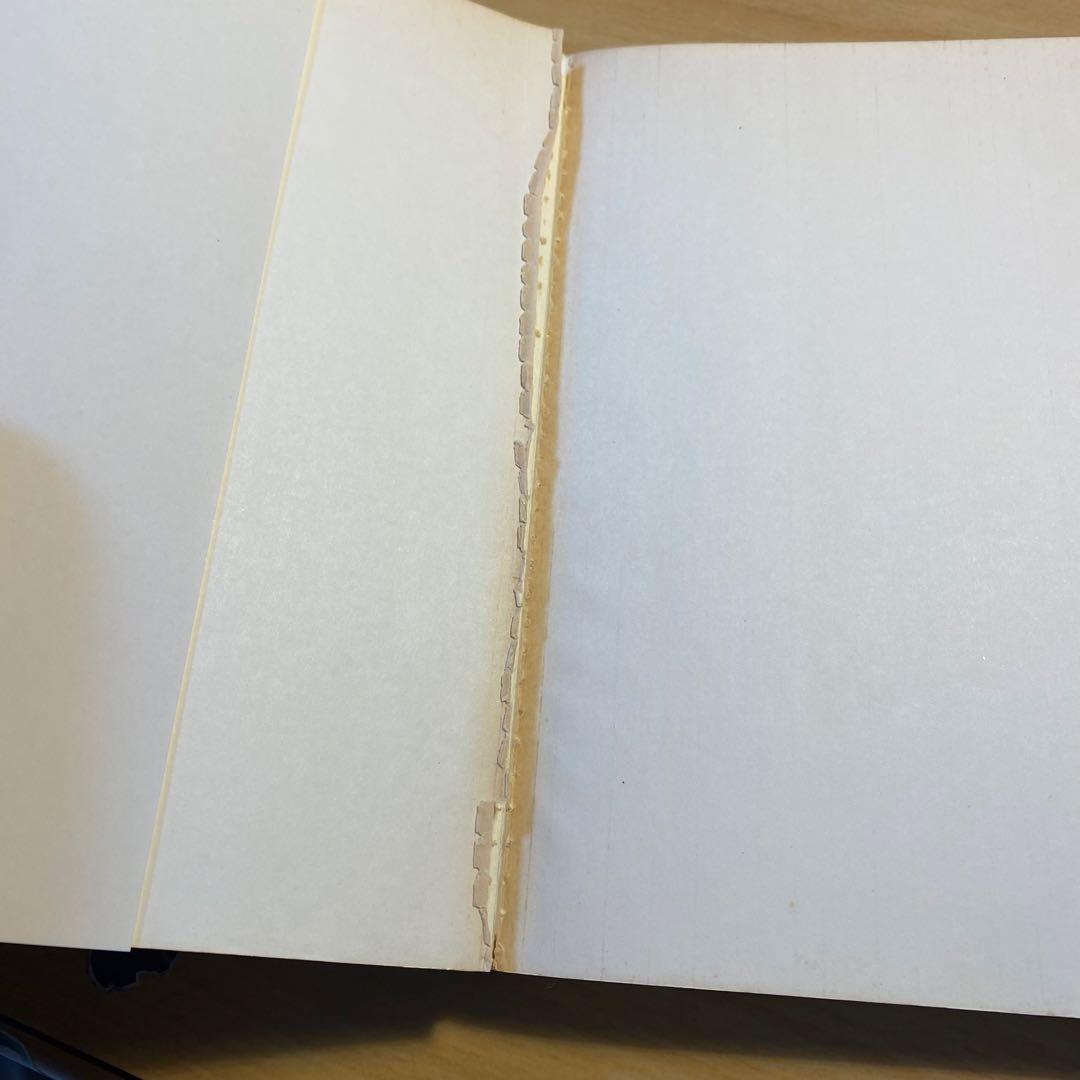 【絶版】Spiritual Energy 政木和三　精神エネルギー