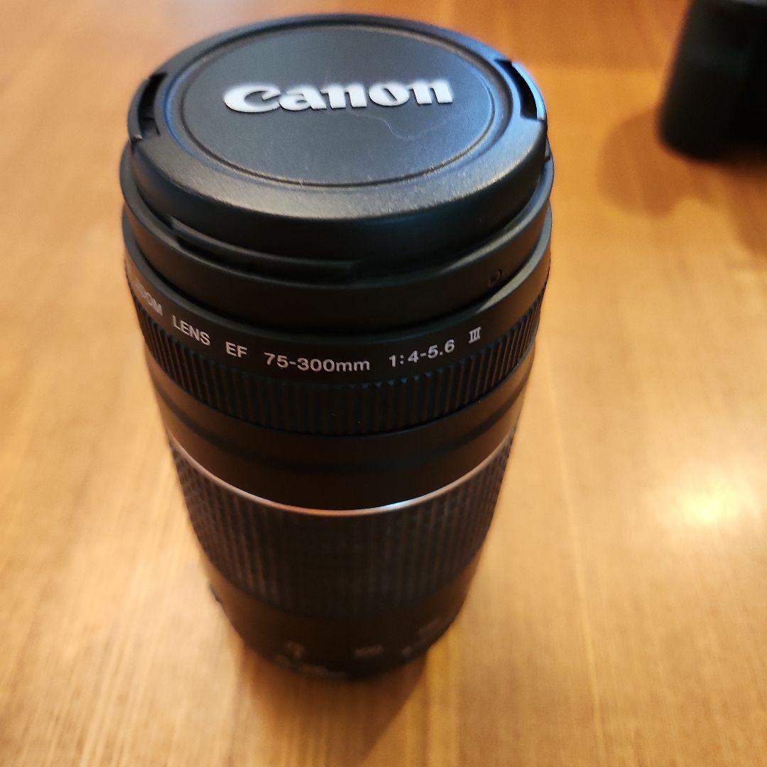 Canon EOS 6D Mark II デジタル一眼レフ レンズ3本