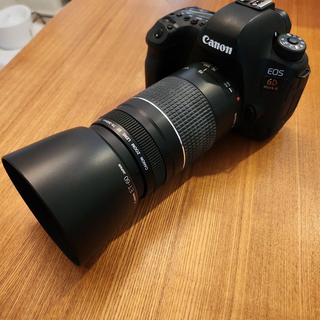 Canon EOS 6D Mark II デジタル一眼レフ レンズ3本