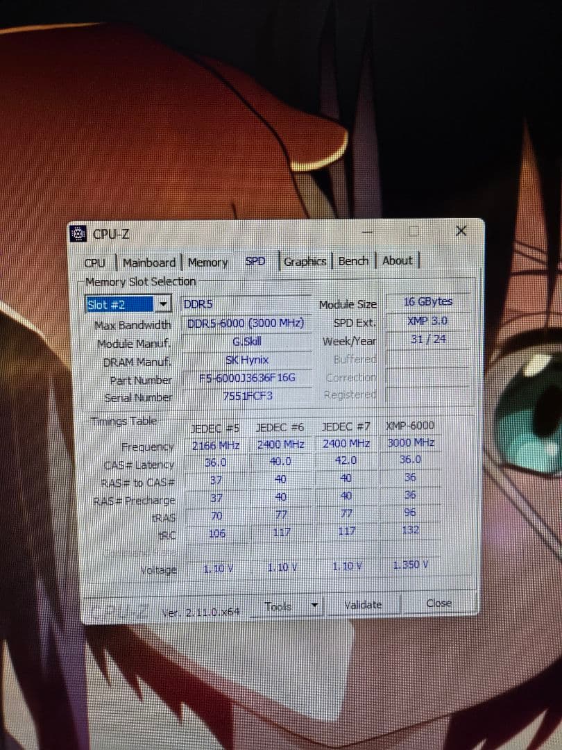 G.SKILLDDR5 32GB 6000(CL36) XMP3.0 TM5完走