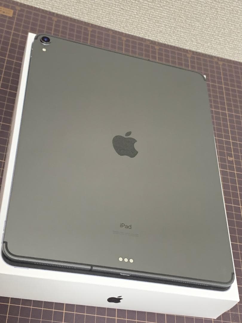 12.9 iPad Pro 256GB Apple Pencil付き LTE