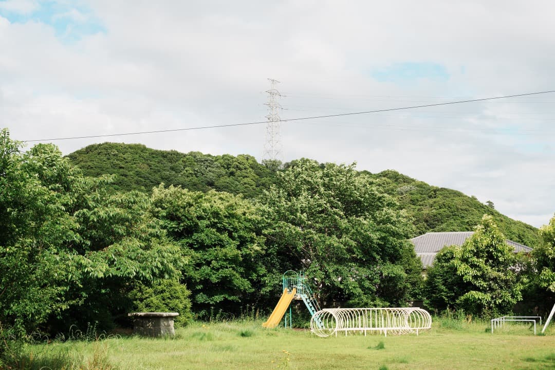 【極美品】Carl Zeiss Planar 50mm F1.4 MMJ 374