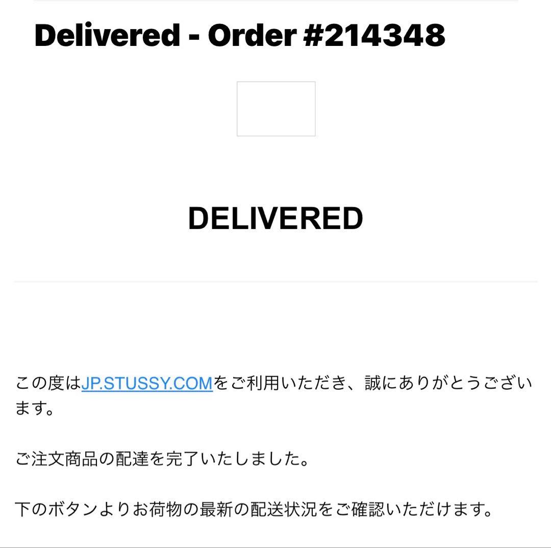 お値下げしました！ BASIC STÜSSY HOODIE ブラック Mサイズ