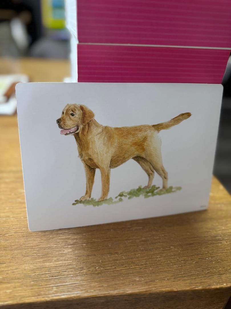 七田式　かな絵ちゃん フラッシュカード 6冊セット