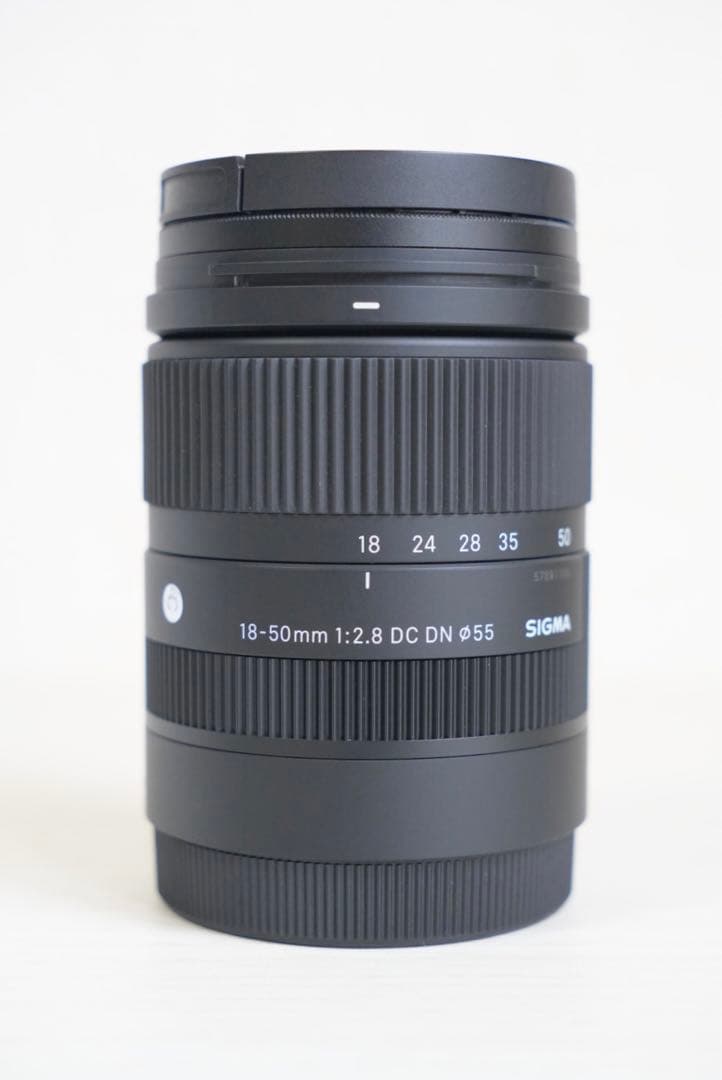 Sony E35mmF1.8+Sigma 18-50mmF2.8 Eマウント