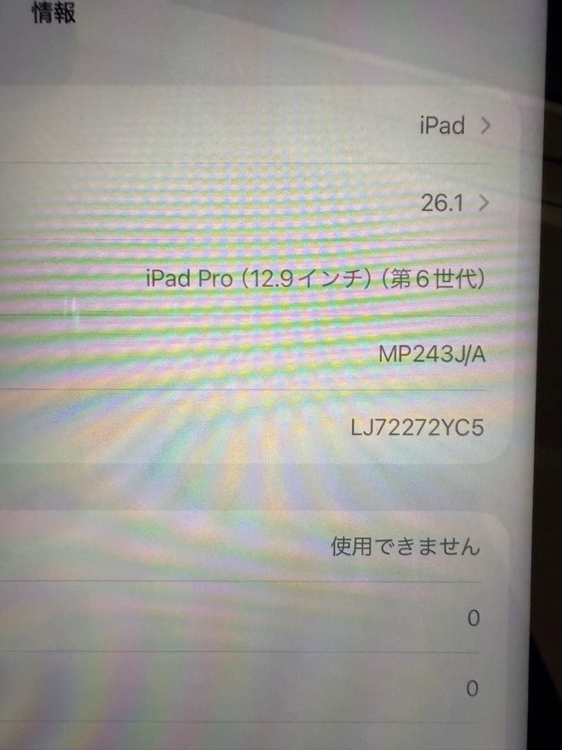iPad Pro 12.9 第6世代 1TB Wi-Fi cellul