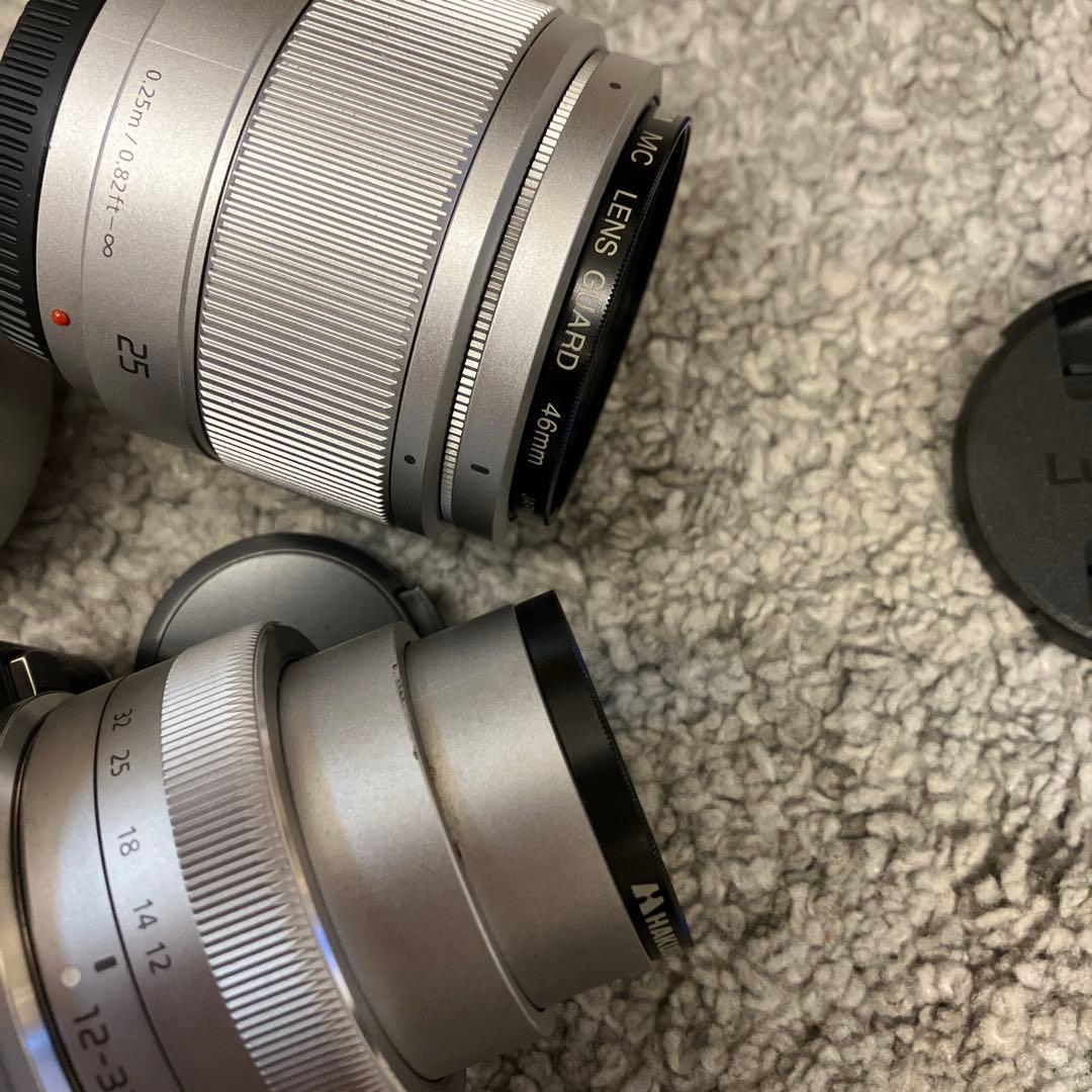 Panasonic LUMIX DC-GF9W ダブルレンズキット ミラーレス