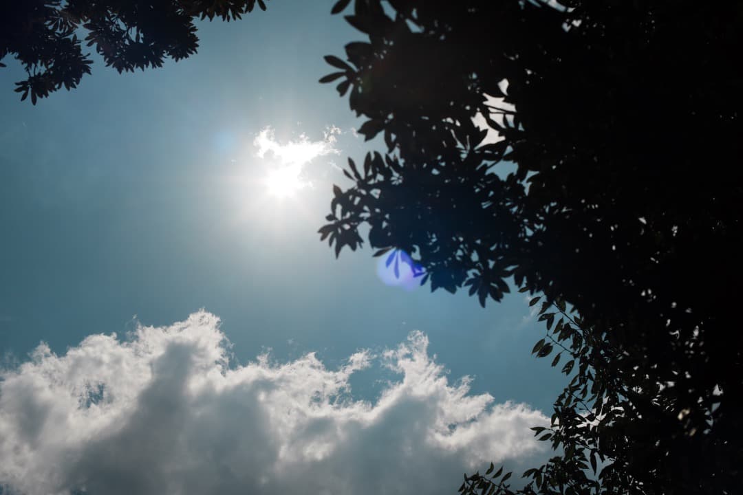 【極美品】動作◎ Canon FD 50mm F1.4 S.S.C