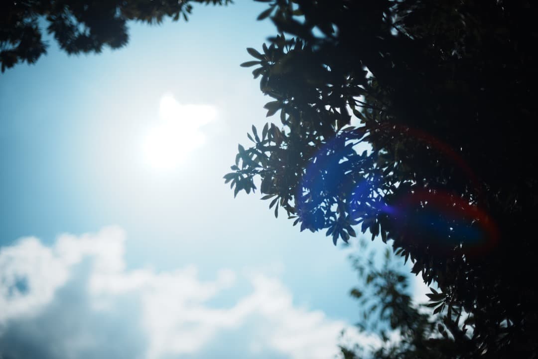 【極美品】動作◎ Canon FD 50mm F1.4 S.S.C