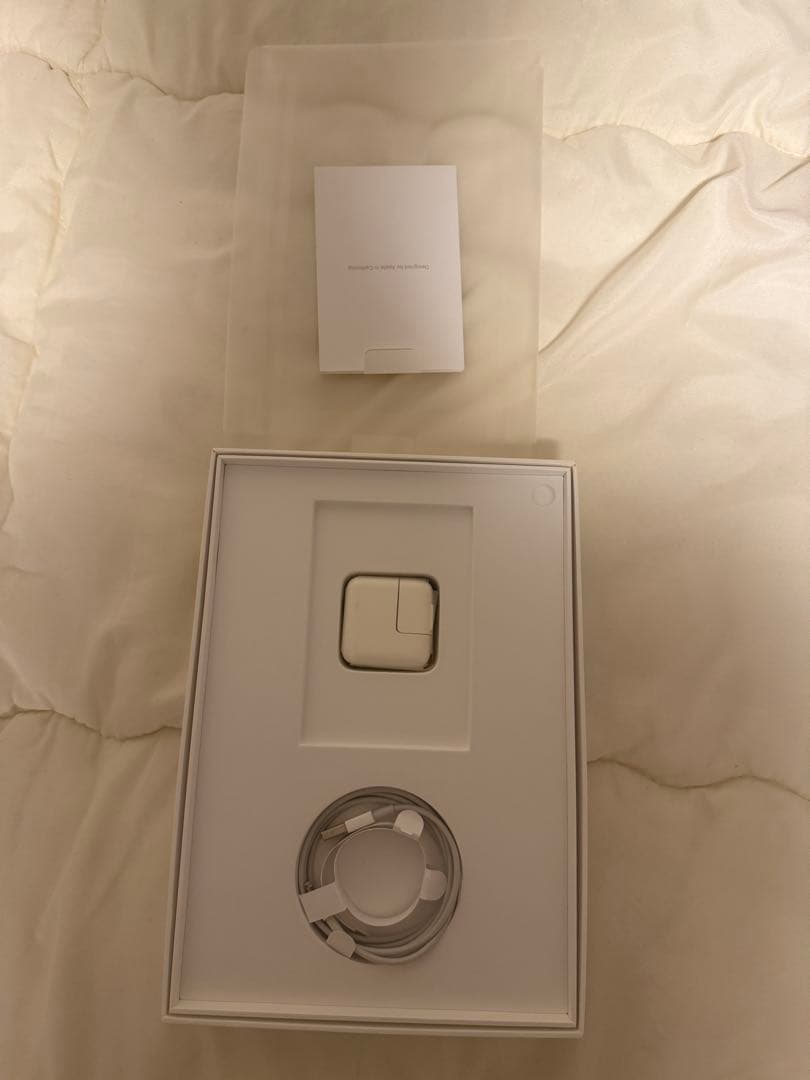 Apple iPad Pro (10.5インチ) 本体 付属品付き