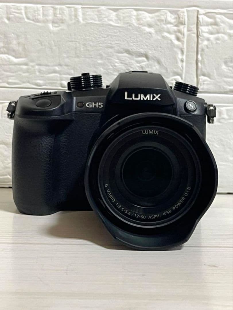 LUMIX GH5 ミラーレス一眼 レンズキット