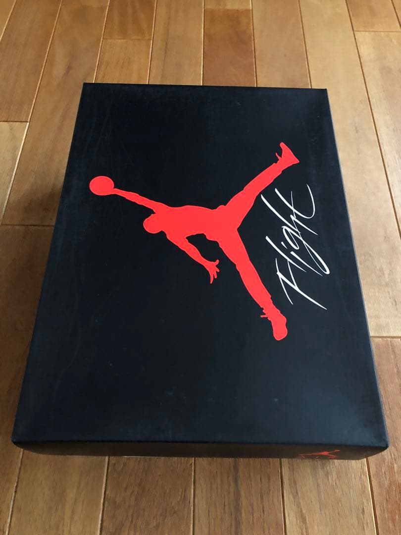 専用AIR JORDAN4RETRO Motorsports Alternate