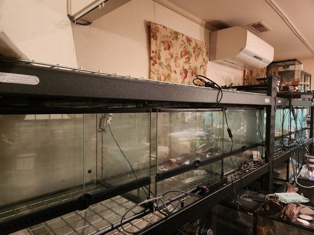 078様　引取　レインフォレストタンL中古4台