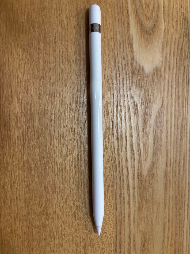 【美品】Apple iPad mini 第5世代 本体 Pencil・カバー付