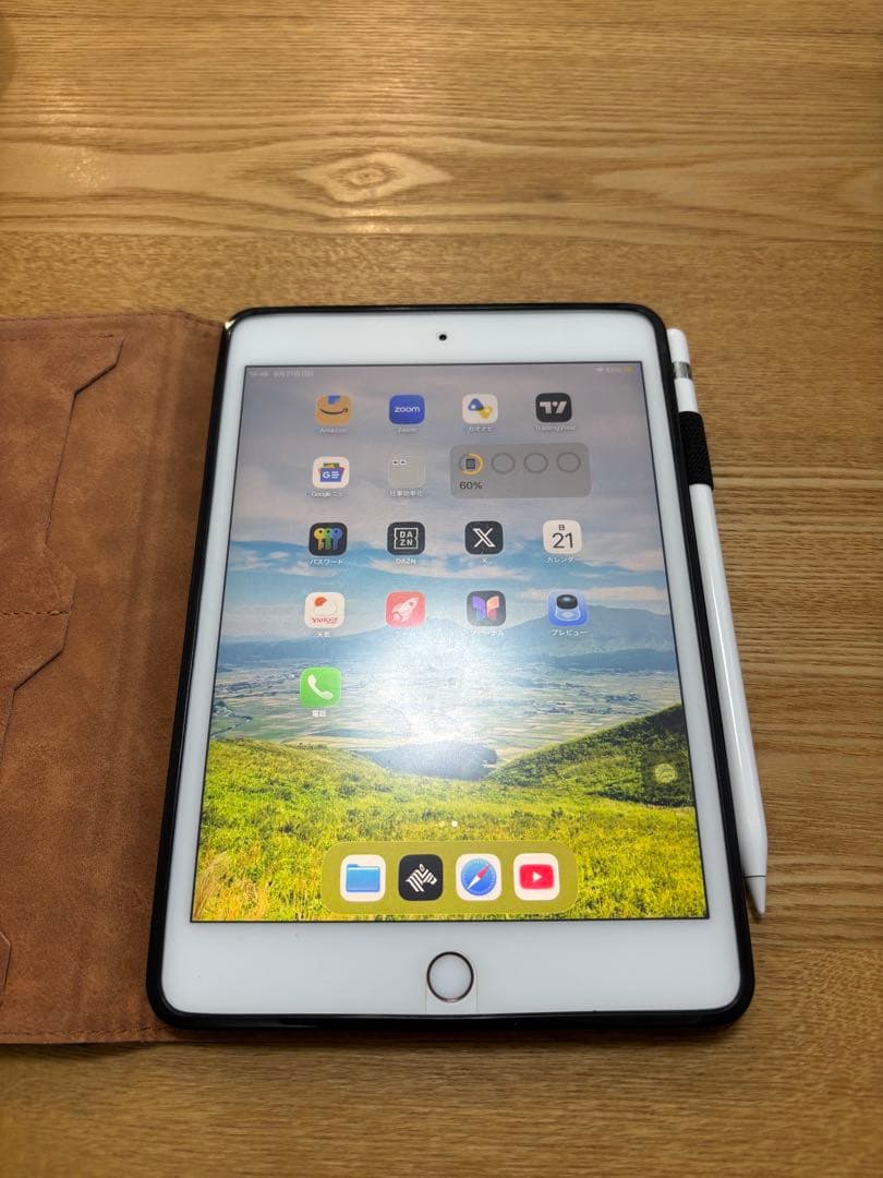 【美品】Apple iPad mini 第5世代 本体 Pencil・カバー付