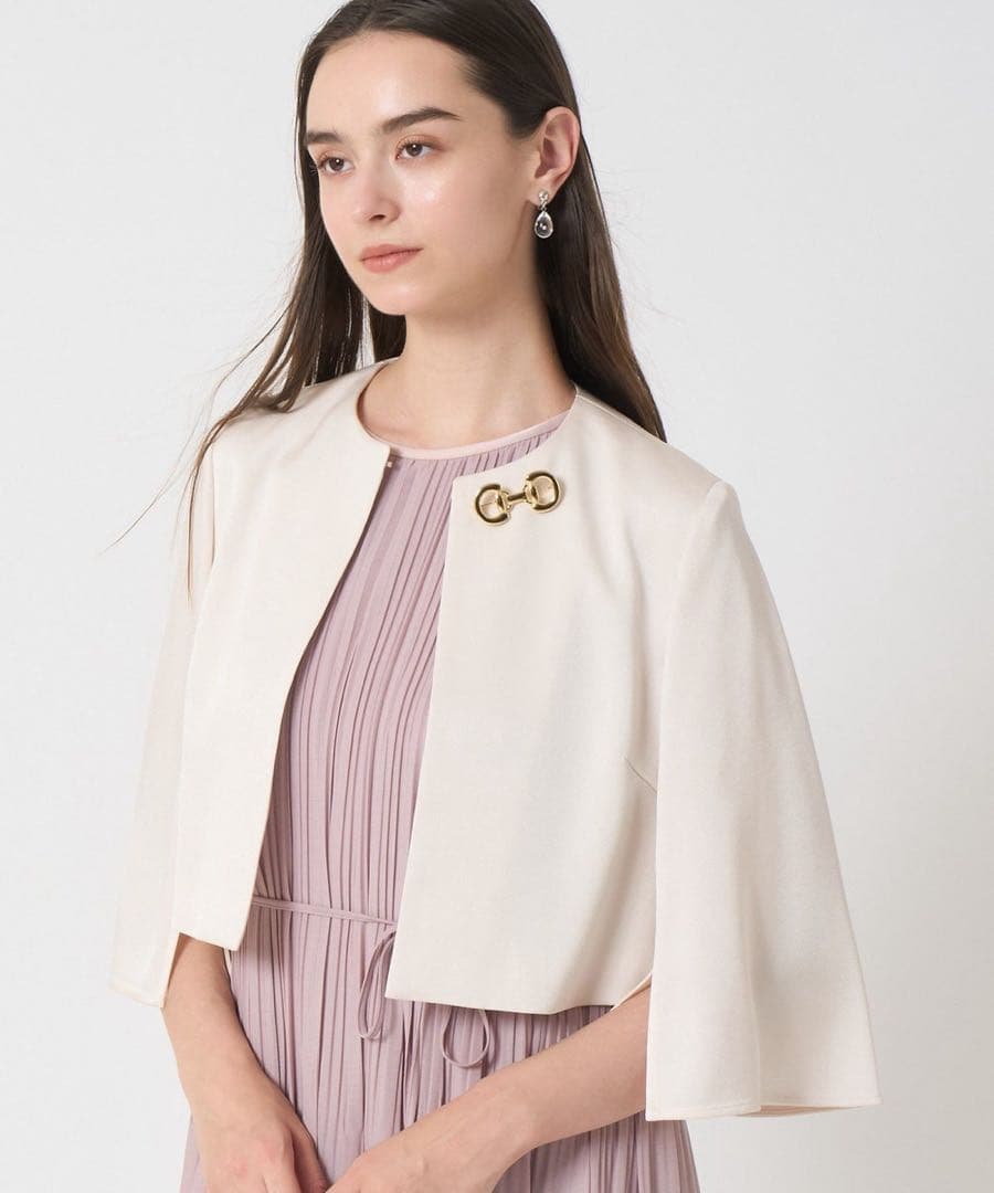 【新品未使用】ANAYI ホースビットビジューブローチ　完売　アナイ