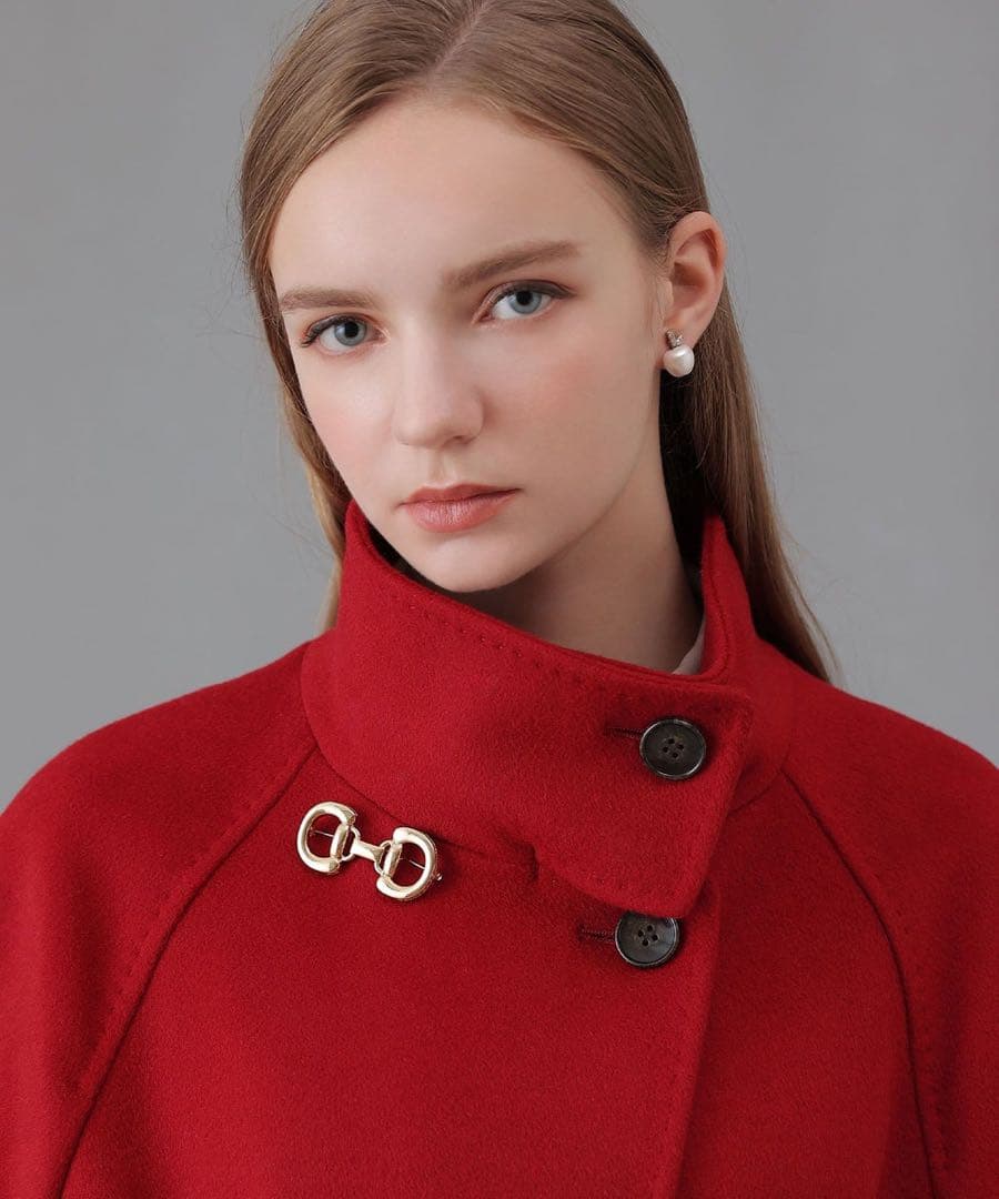 【新品未使用】ANAYI ホースビットビジューブローチ　完売　アナイ