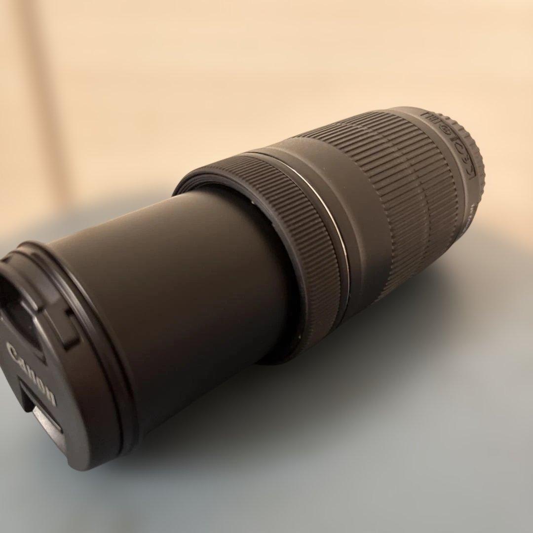 Canon EFS 55-250mm ズームレンズ