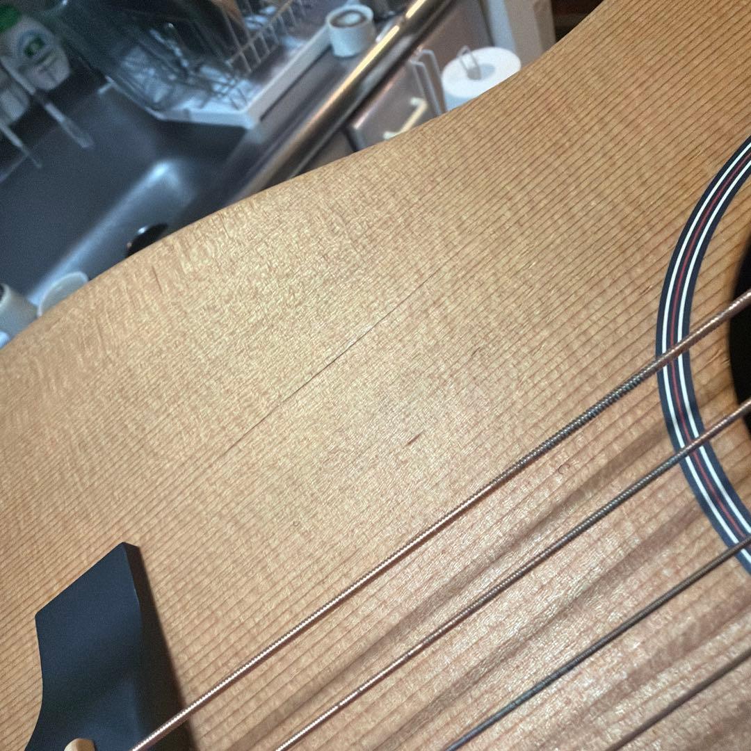 MARTIN LX1E Little Martinリトルマーチン fishman