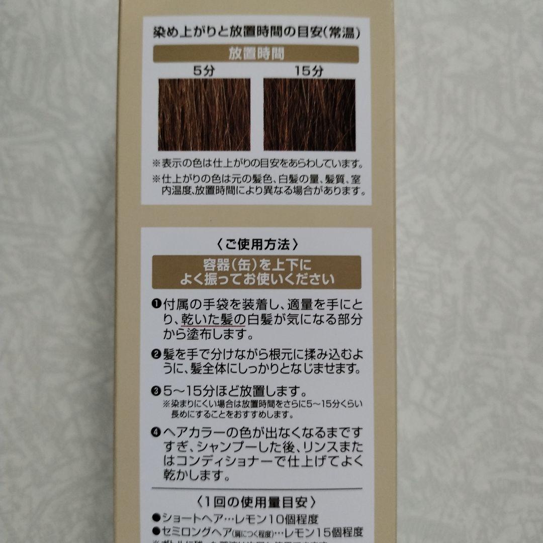 ヘアボーテエクラボタニカルエアーカラーフォーム 150g２本セット