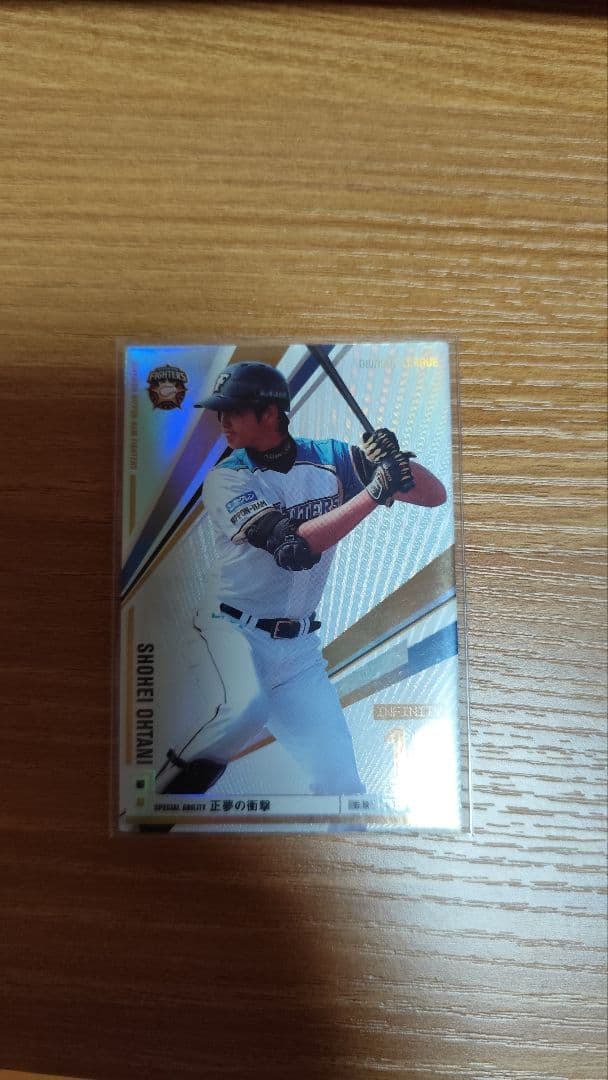 大谷翔平 オーナーズリーグ2013