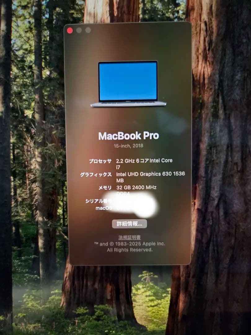 MacBook本体 MacBook Pro 2018 15inch i7 RAM 32gb