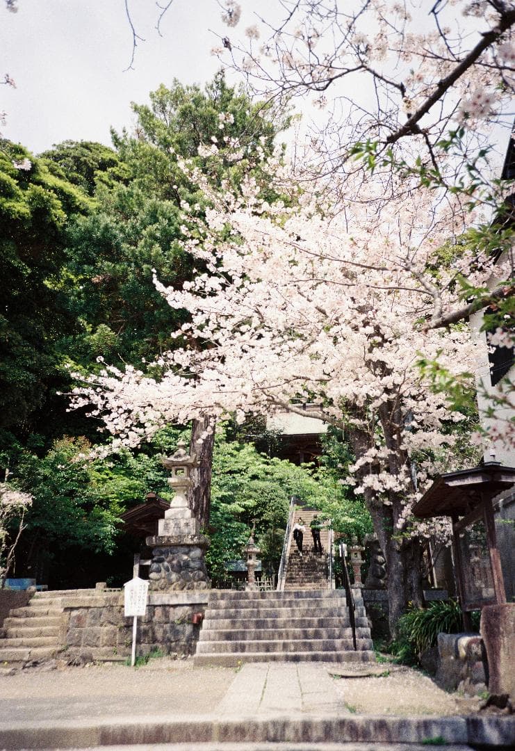 Lomo LC-A+ フィルムカメラ