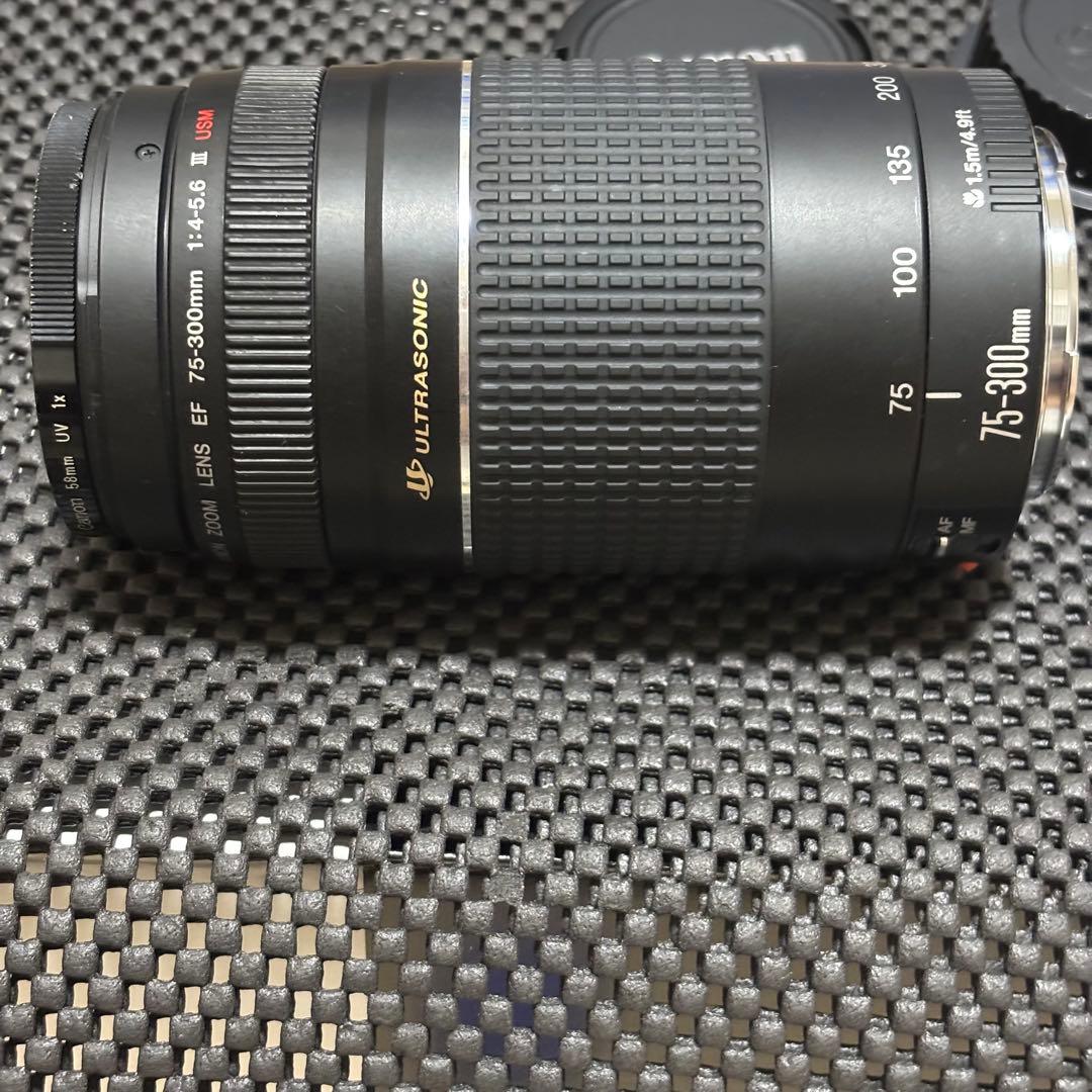 Canon EF 75-300mm USM 超望遠レンズ　canon純正レンズ